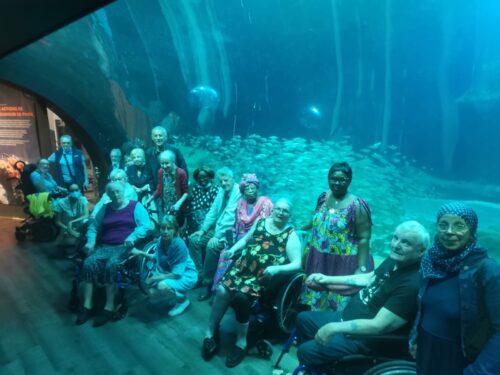 Résidents de la résidence catherine labouré au grand aquarium à Paris