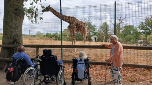 Sortie zoo (8)