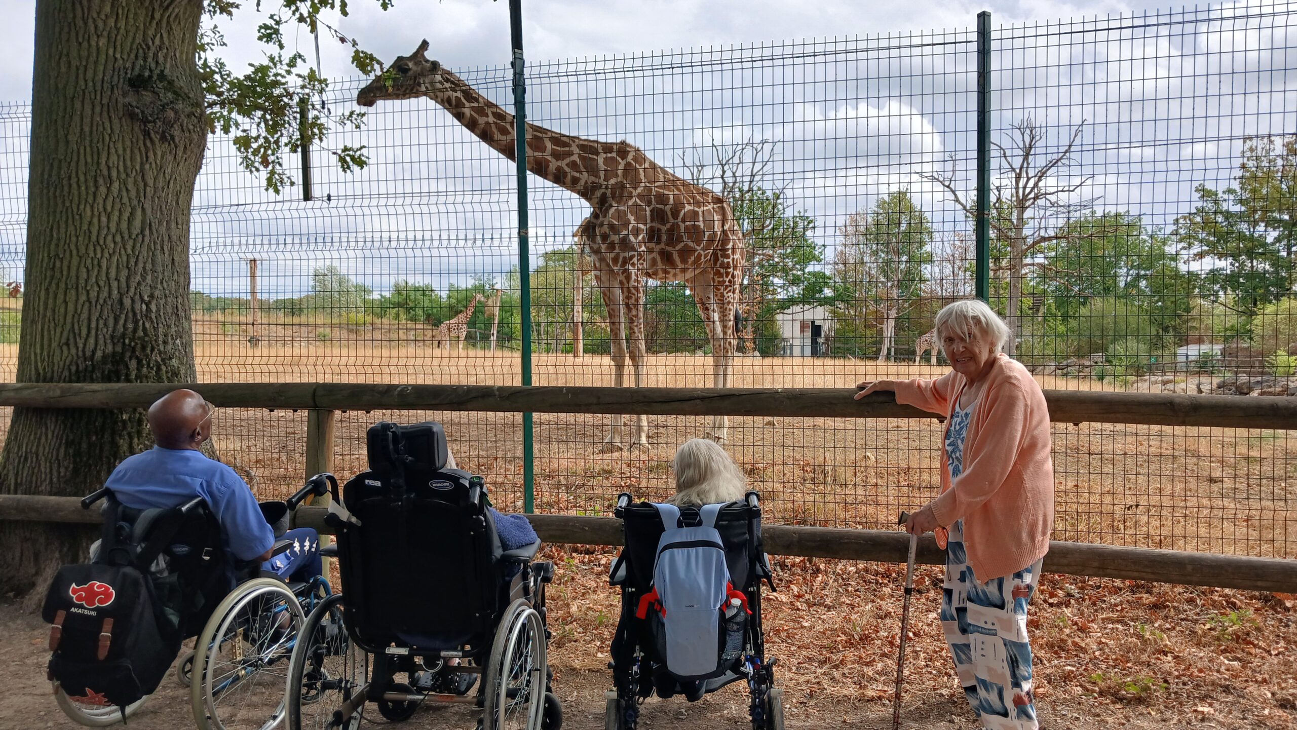Sortie zoo (8)
